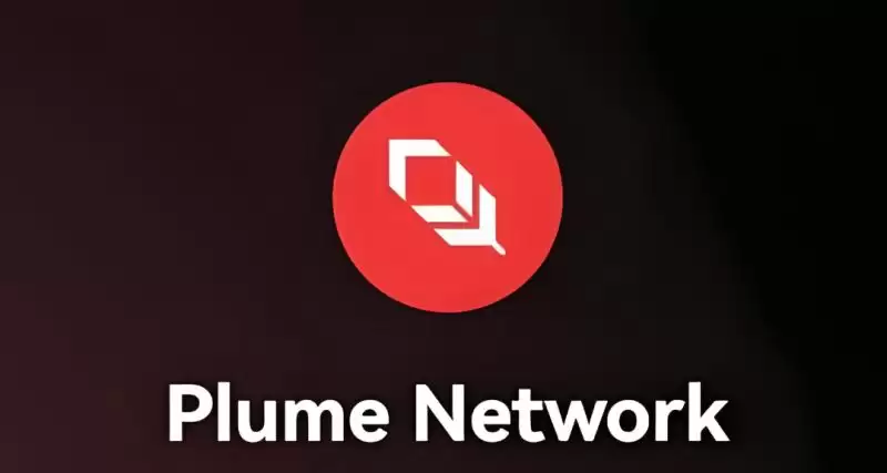 详解RWA赛道基础设施Plume的期待与挑战