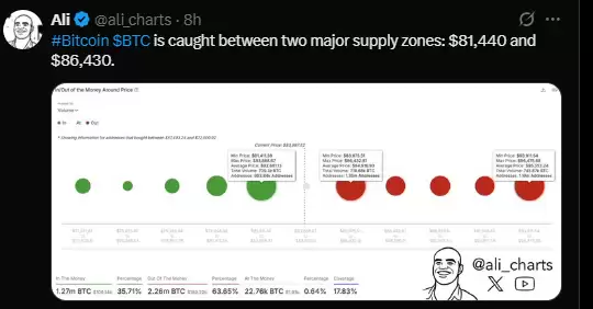 黄金价格创下新高后,比特币会随之飙升吗？