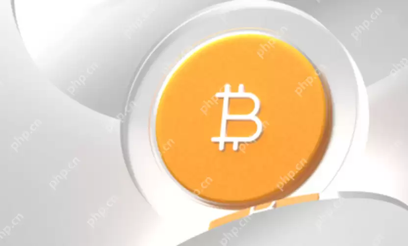 什么是支撑位？新手如何用它判断熊市低位进场时机？ - 菜鸟下载