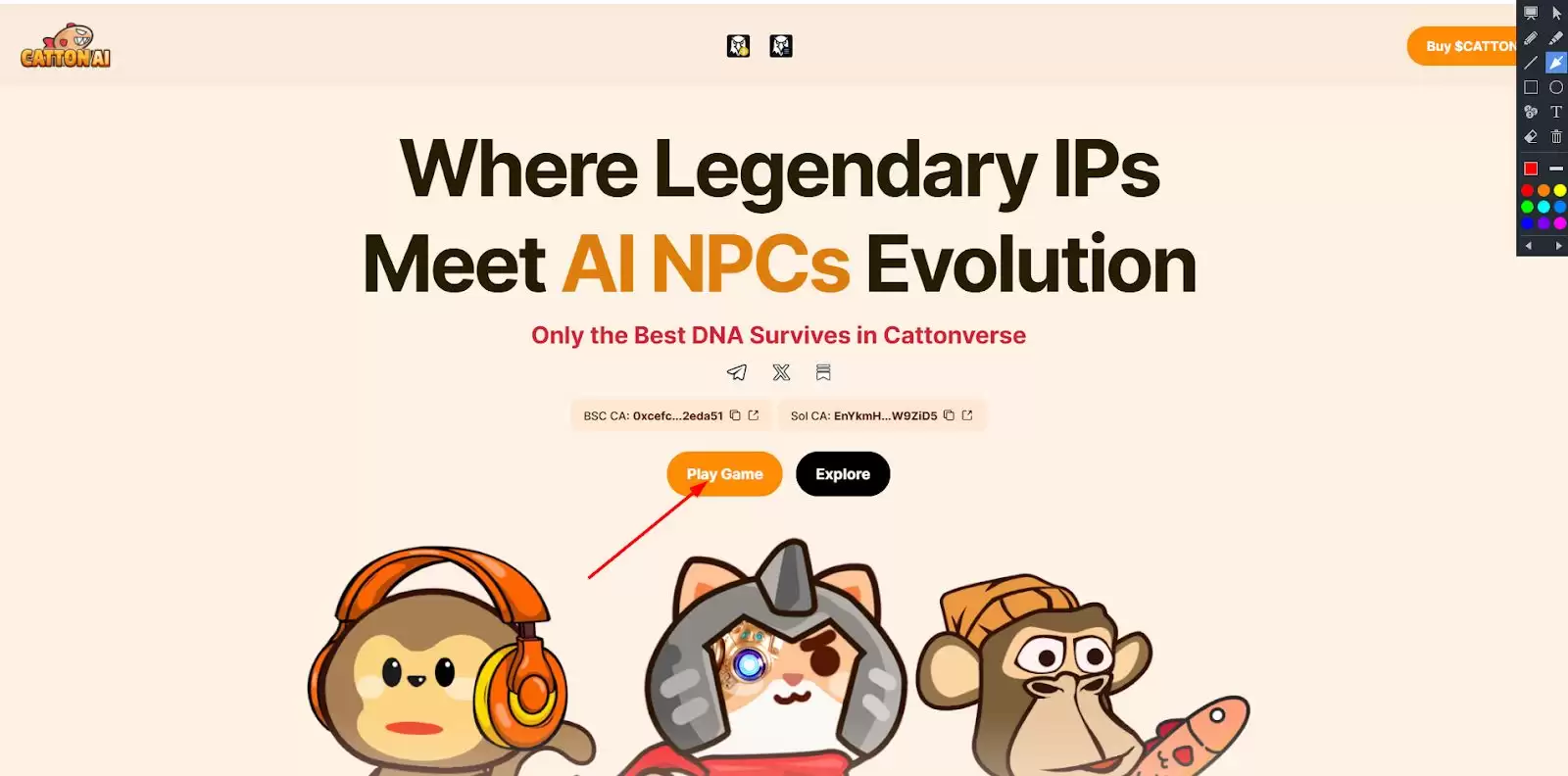 什么是Catton AI(CATTON)币？值得投资吗？如何赚取CATTON币？