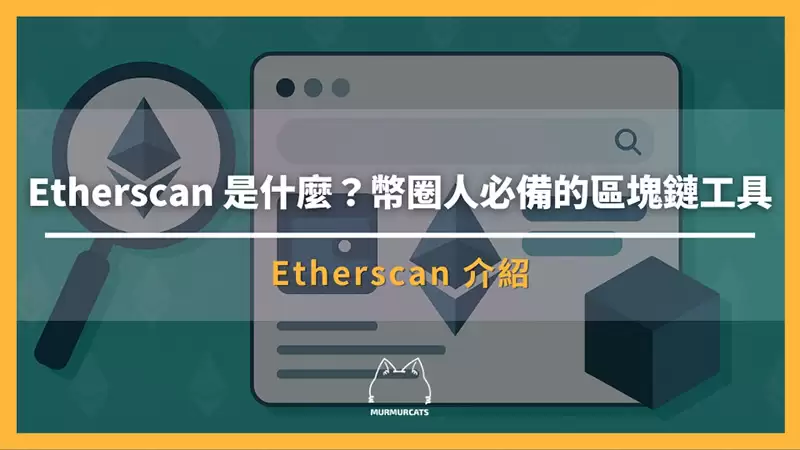 Etherscan 是什么?一文掌握以太坊浏览器使用方法(从基础查询到进阶追踪)