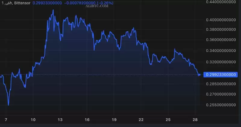 最近比较有潜力的币种有哪些?未来币圈十大币种排行榜揭晓