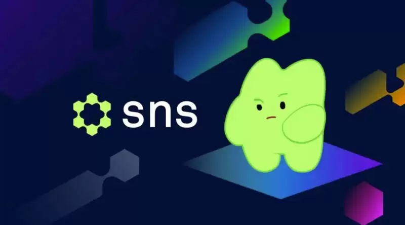 什么是Solana名称服务(SNS)币?SNS代币经济学、功能及未来分析