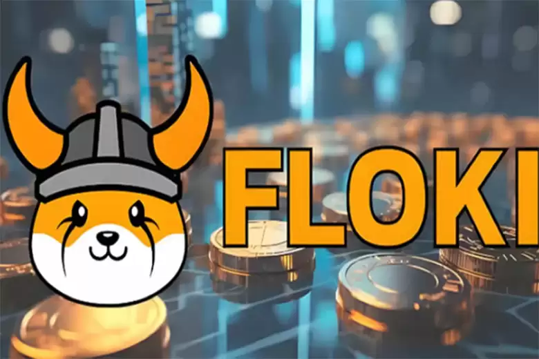 弗洛基FLOKI