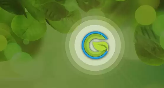 WGC是什么币种？WGC币官网、总量和发行价介绍