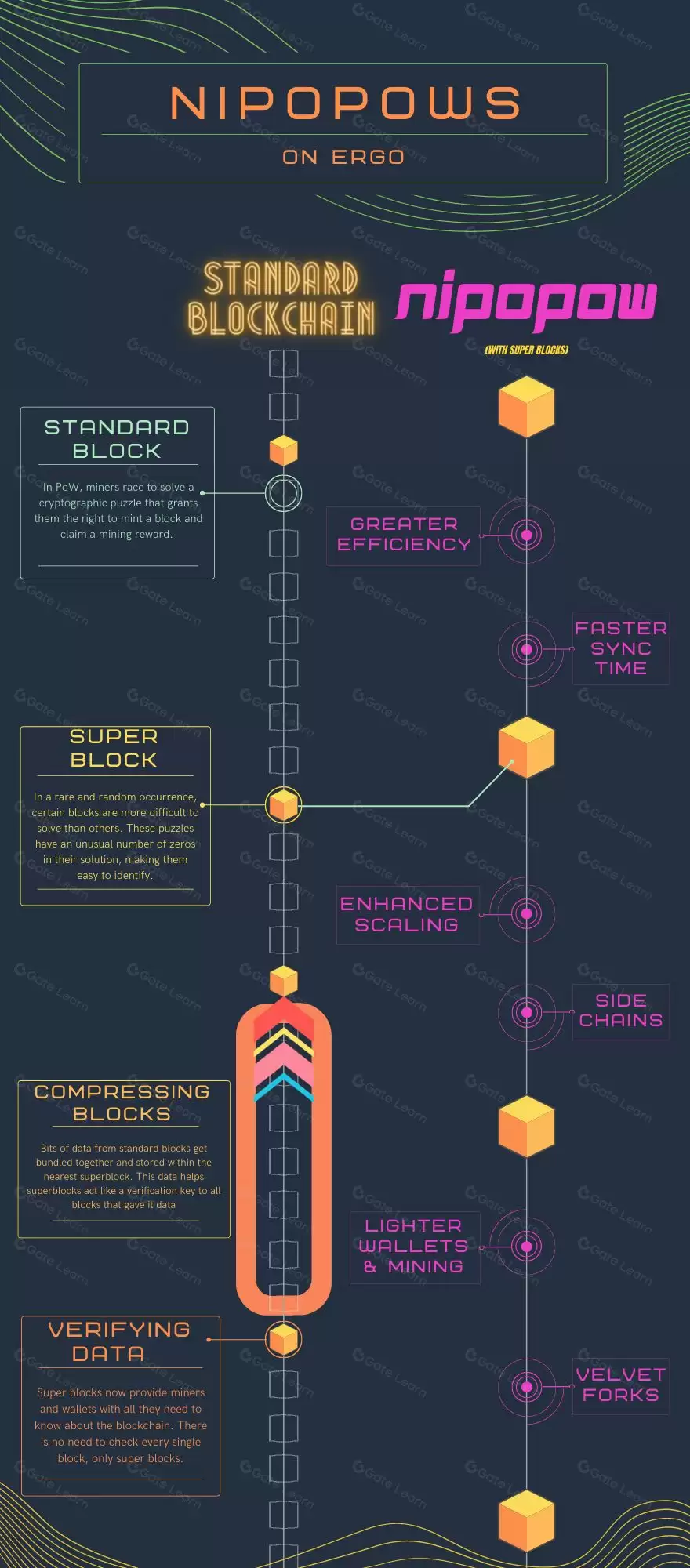 什么是Ergo？ERG币值得投资吗？2025年ERG币价格预测、特点、趋势解读