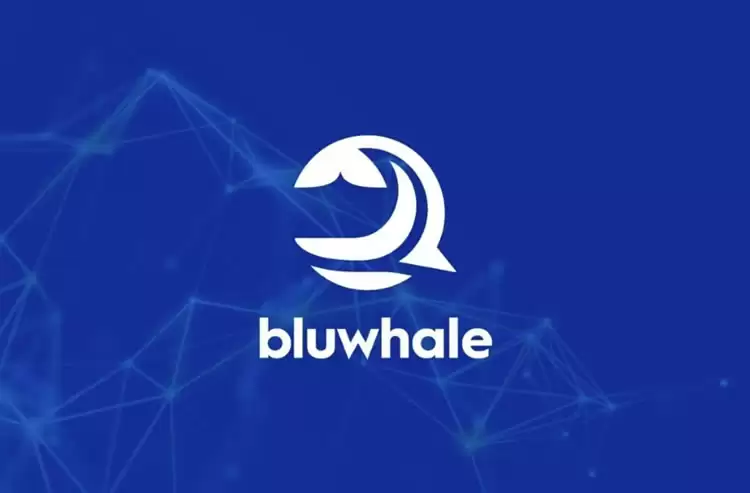 Bluwhale Network(BLUAI)币是什么？如何参与空投,未来潜力如何？