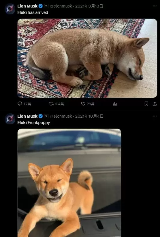 Floki币是什么？FLOKI币如何购买？FLOKI币价格走势分析