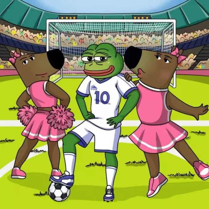 如何购买Fantasy Pepe($FEPE)？新手购买Fantasy Pepe的五个简单步骤