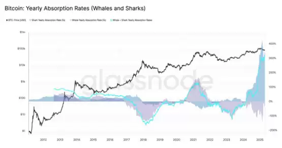比特币鲸鱼吸收了新挖矿比特币供应的300%—下一个目标是10万美元吗？