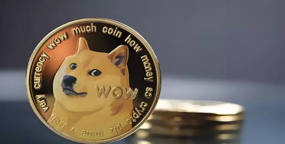 狗狗(DOGE)币价格预测2025年:狗狗币能否迎来反弹浪潮? - 菜鸟下载