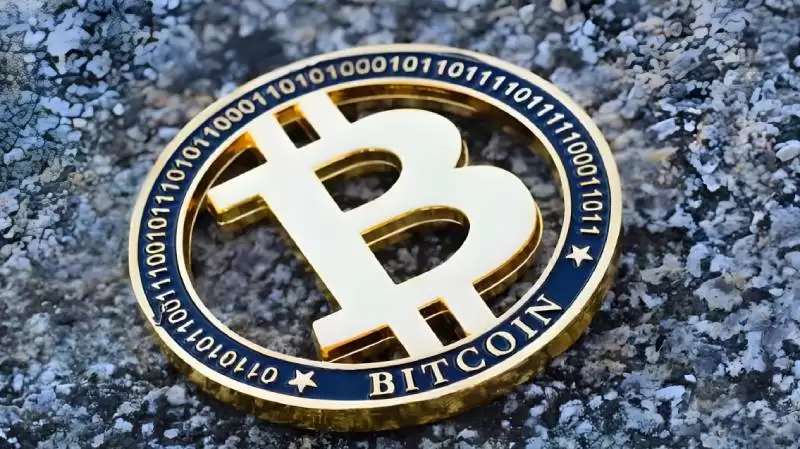 什么是熊市?2025年熊市中值得关注的顶级加密代币盘点