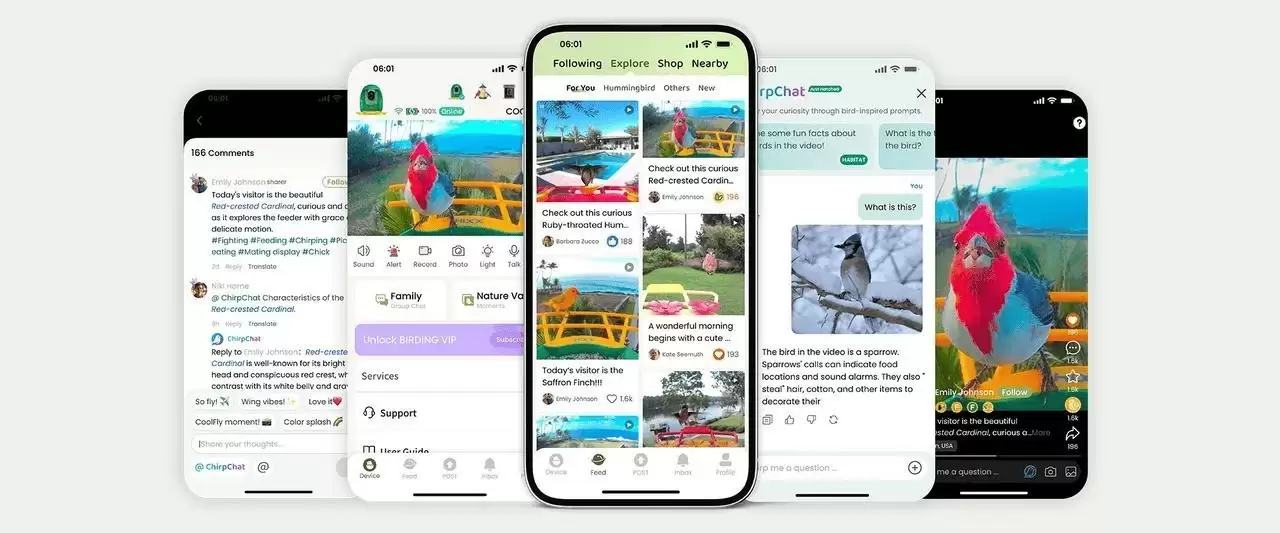 从深圳到北美:中国创企COOLFLY改写全球AI观鸟市场格局