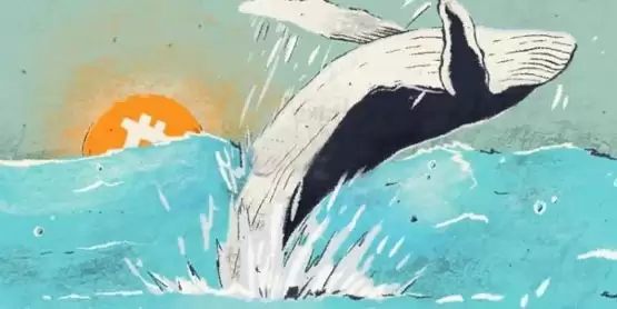 Glassnode数据：鲸鱼在不断买入比特币！较小投资群体才在卖BTC