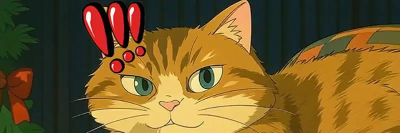 什么是Hosico猫(HOSICO)？猫咪主题迷因币HOSICO值得购买吗？