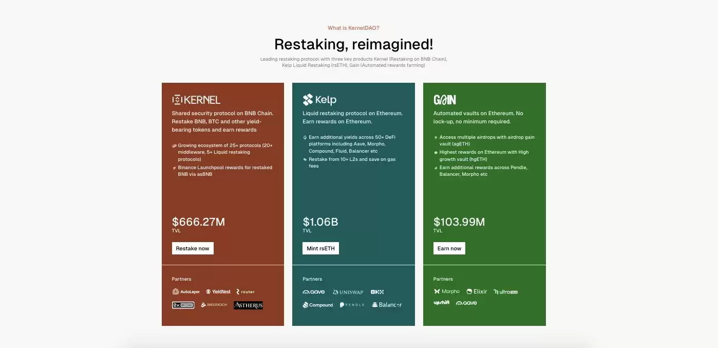 KernelDAO是什么？KERNEL币前景、代币经济、背景团队、解锁计划介绍