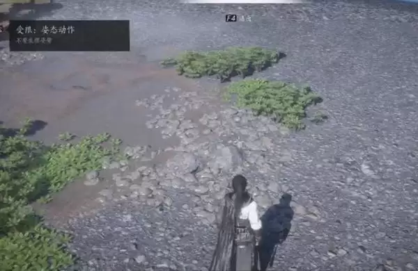 燕云十六声柿子业有成活动攻略