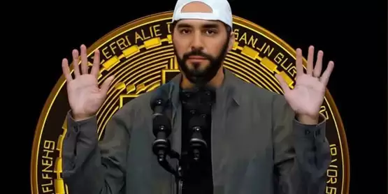 生态困境!数据显示萨尔瓦多近九成的服务提供商已停止运营