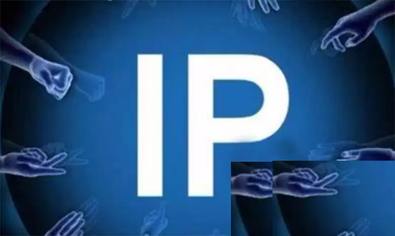 IP币合约地址详解