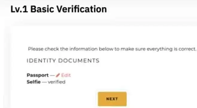 Bybit交易所KYC认证教程