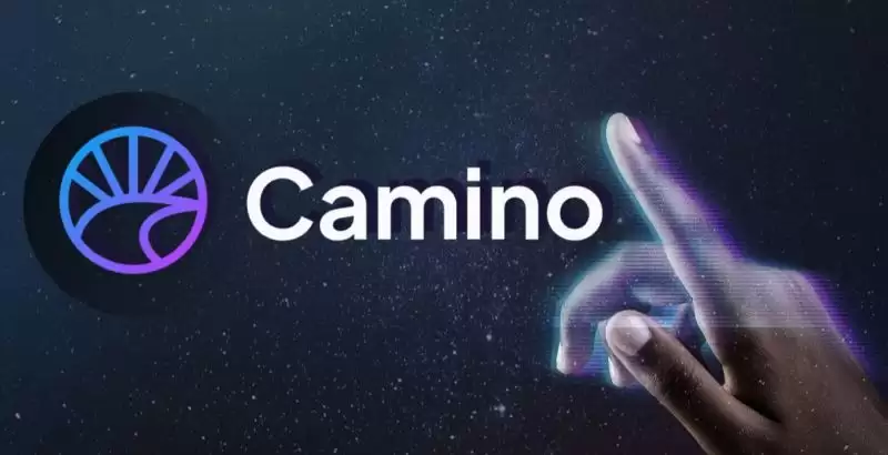 Camino Network(CAM)是什么币?未来前景如何