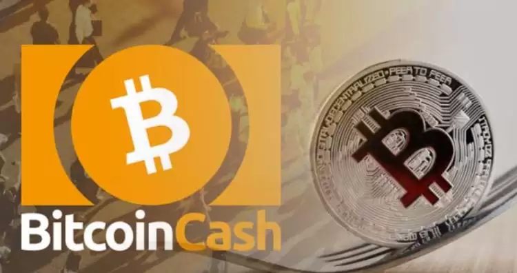 比特现金和比特币关系是什么?比特现金和比特币关系和区别详解