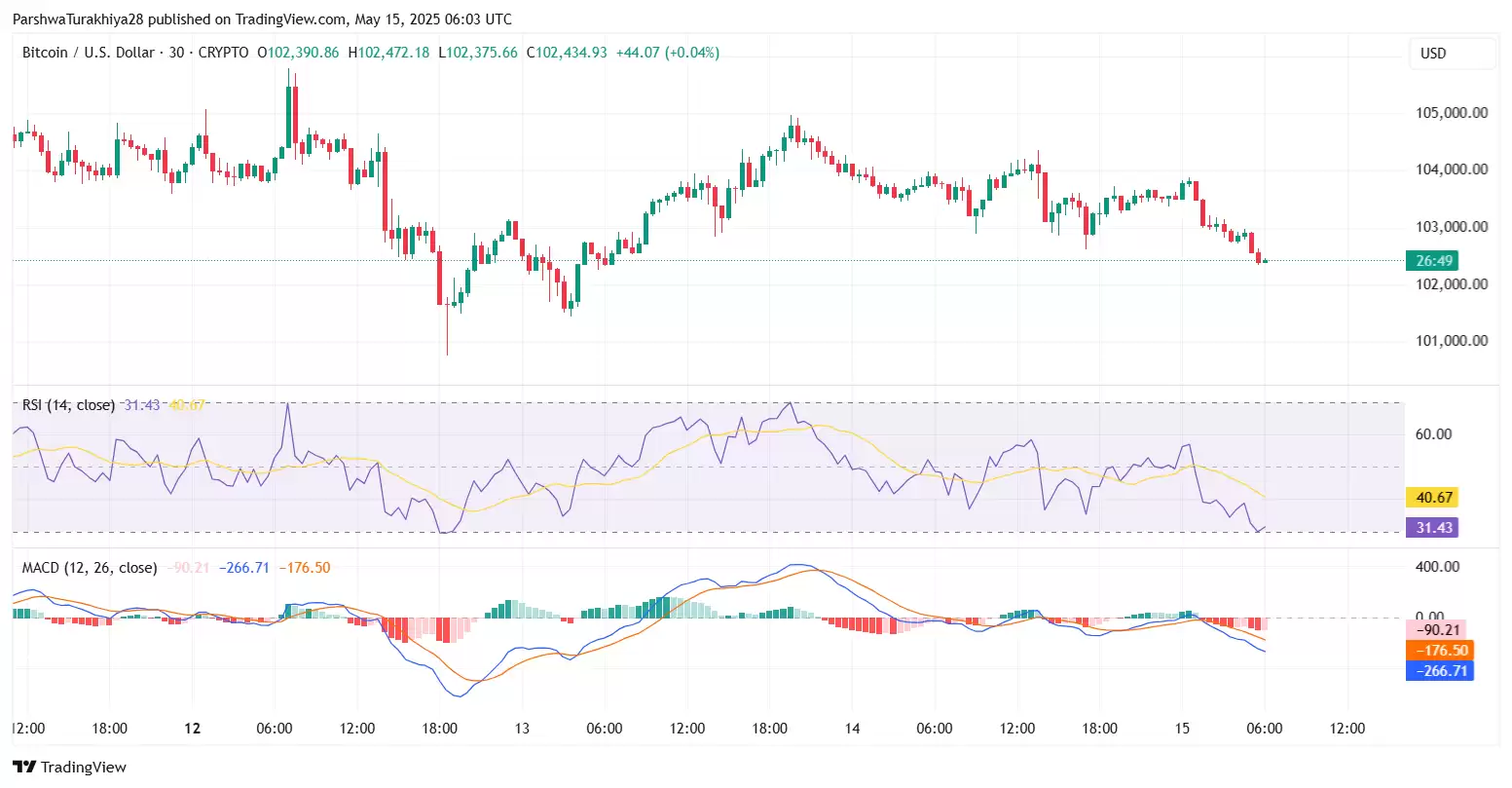 谁是2025年百倍币？BTC将暴涨至30万美元？BTC价格预测