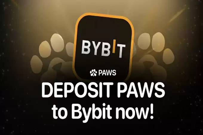 与 PAWS 合作的交易所:最佳 6 大平台一览