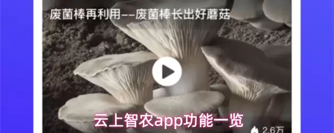 云上智农app功能一览