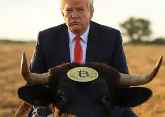 一文搞懂：传统金融巨头不会让比特币牛市结束