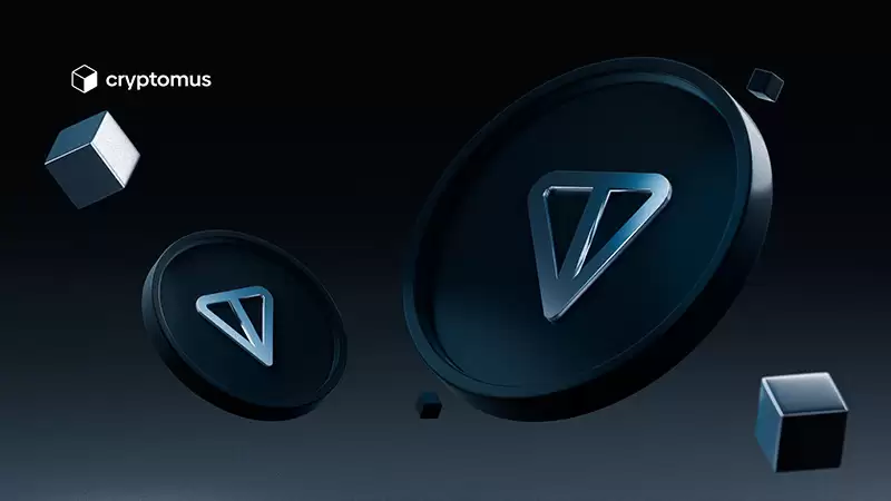 什么是Toncoin (TON) 以及它是如何工作的？