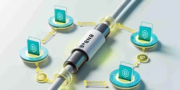 BNB链上的币有哪些？BNB链热门代币盘点