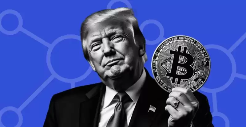 TRUMP币起落后,特朗普总统任期内的5大加密预测