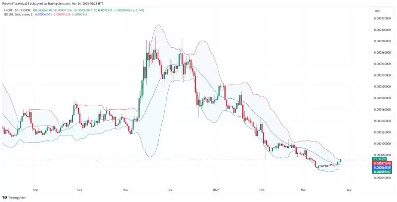 FLOKI币价格预测:会不会涨到1美元?(2025-2030)