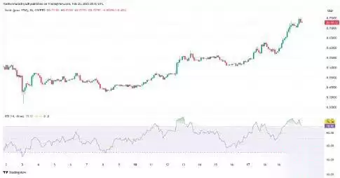 Sonic(S)币价格预测2025-2030年:S币未来能涨到多少？