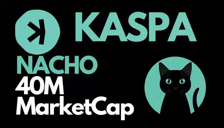 Nacho the Kat(NACHO)币是什么？NACHO币值得投资吗？