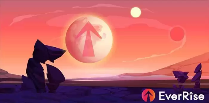 RISE是什么币种?RISE币值得投资吗?发行价是多少?