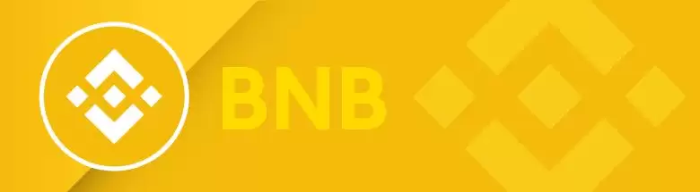 BNB币未来价格如何？现在可以买吗？币安币价格预测2025-2050