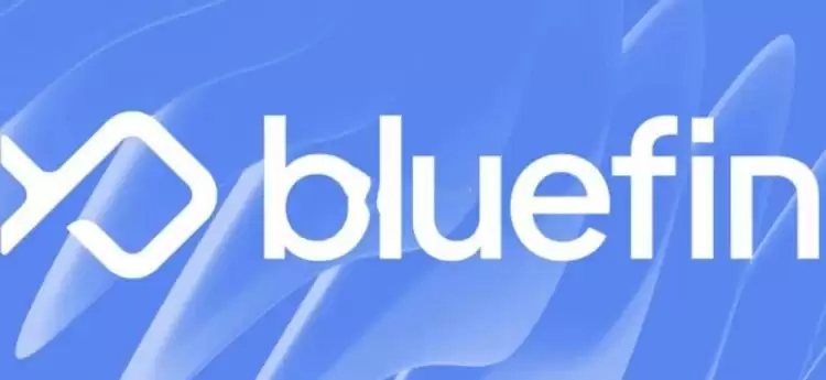 BLUE是什么币种？BLUE币怎么样？
