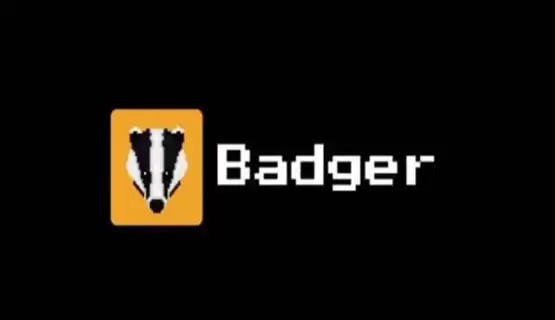 BADGER币价格走势分析图