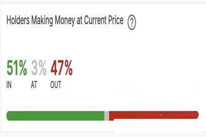 PEPE持有者盈亏分析
