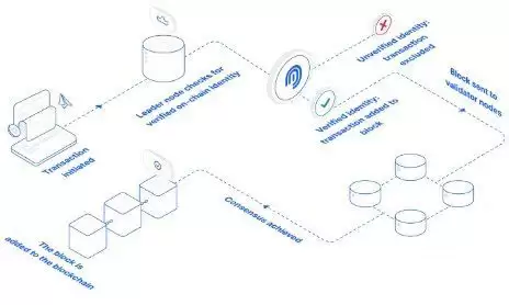 什么是Haven1测试网？如何加入Haven1空投？如何获取积分？