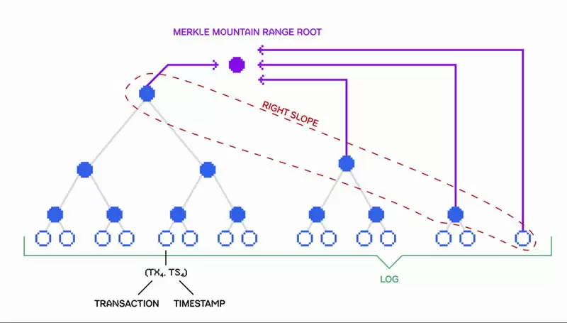 什么是Pod Network？Pod Network项目介绍、团队、融资
