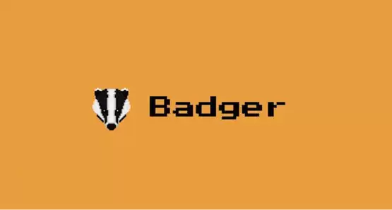 BADGER币发行价格及发行时间介绍