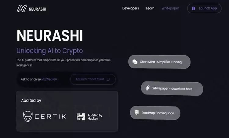 NEI币是什么?未来如何?NEI币价格走势分析及预测