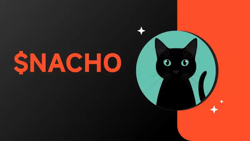 NACHO币是什么?NACHO币未来潜力如何?