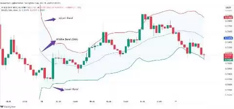 PENGU价格预测2025-2030:PENGU币会达到1美元吗？