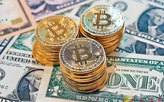 Bitwise:企业购买比特币 一个被忽视的大趋势