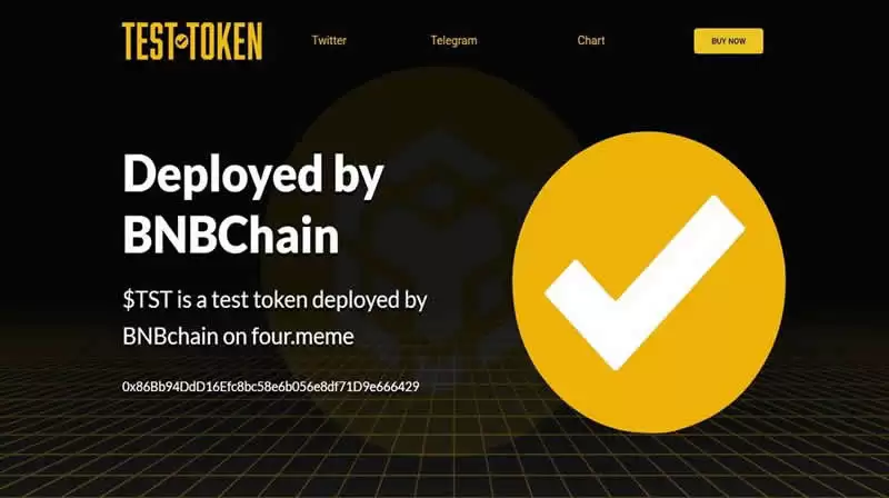 Test(TST)币是什么？和币安有关吗？TST币未来如何？