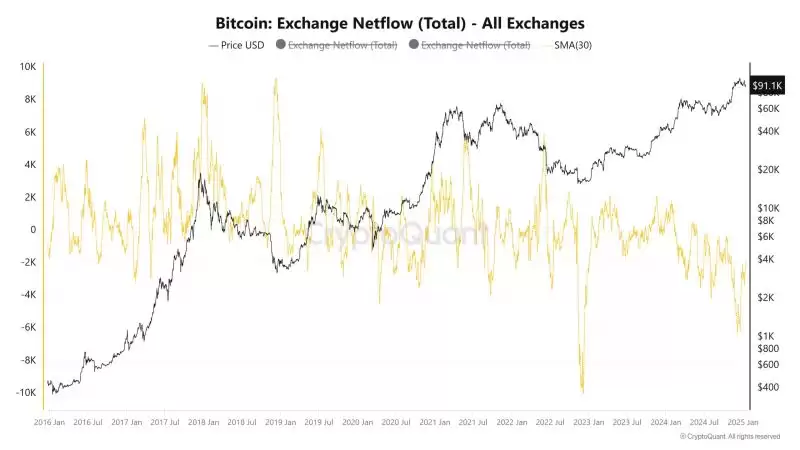 比特币交换Netflows